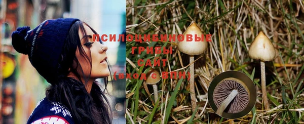 дживик Богородицк