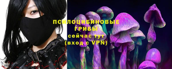 спайс Белокуриха